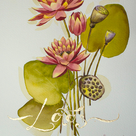 Цветы лотоса