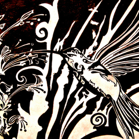 Графика "Колибри"