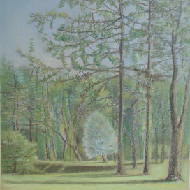 Лето в Питере. Голубое деревце.