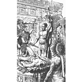 "Священный посев"