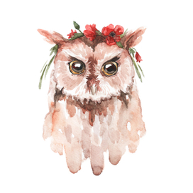 Сова с маками