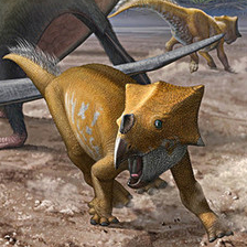 баконидрако и ажкацератопсы