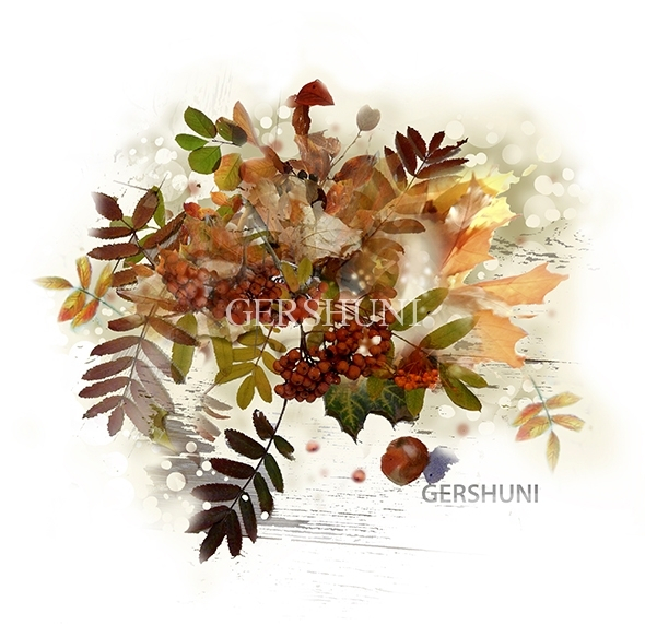 Ягод красные рубины и багряных листьев рой...