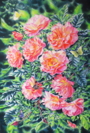 Розы и бабочки