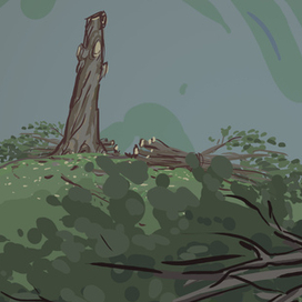 Спиленные ветви дерева