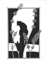 Кошка Томасина