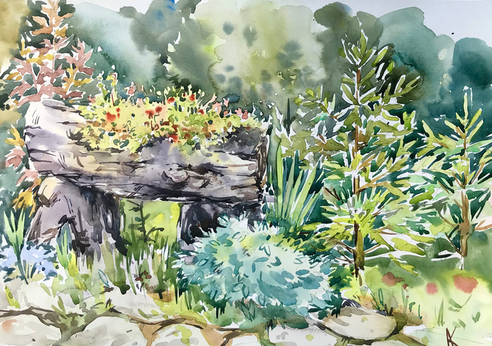 Зелёная медитация 