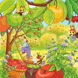 дары августа