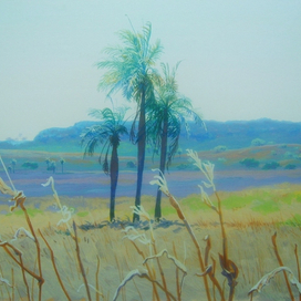 Утро на краю поля