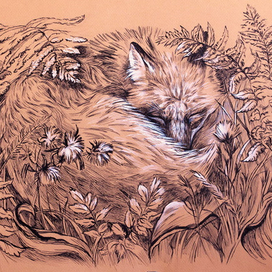 Осенний сон