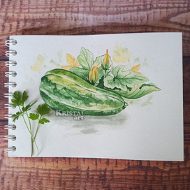 Акварельная работа "Кабачок" 