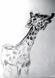 Жирафина