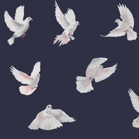 Doves