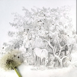 Лето в деревне