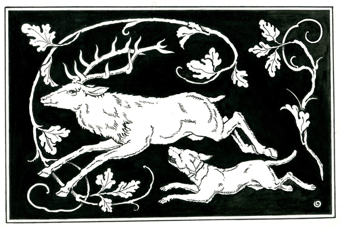 Не поймаешь !