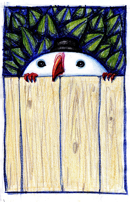 птица следит