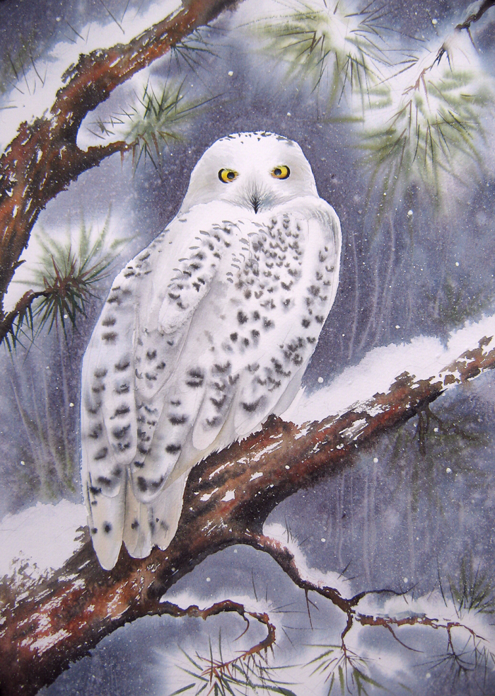 Полярная сова