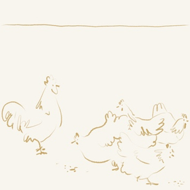 Morning in the garden🐓