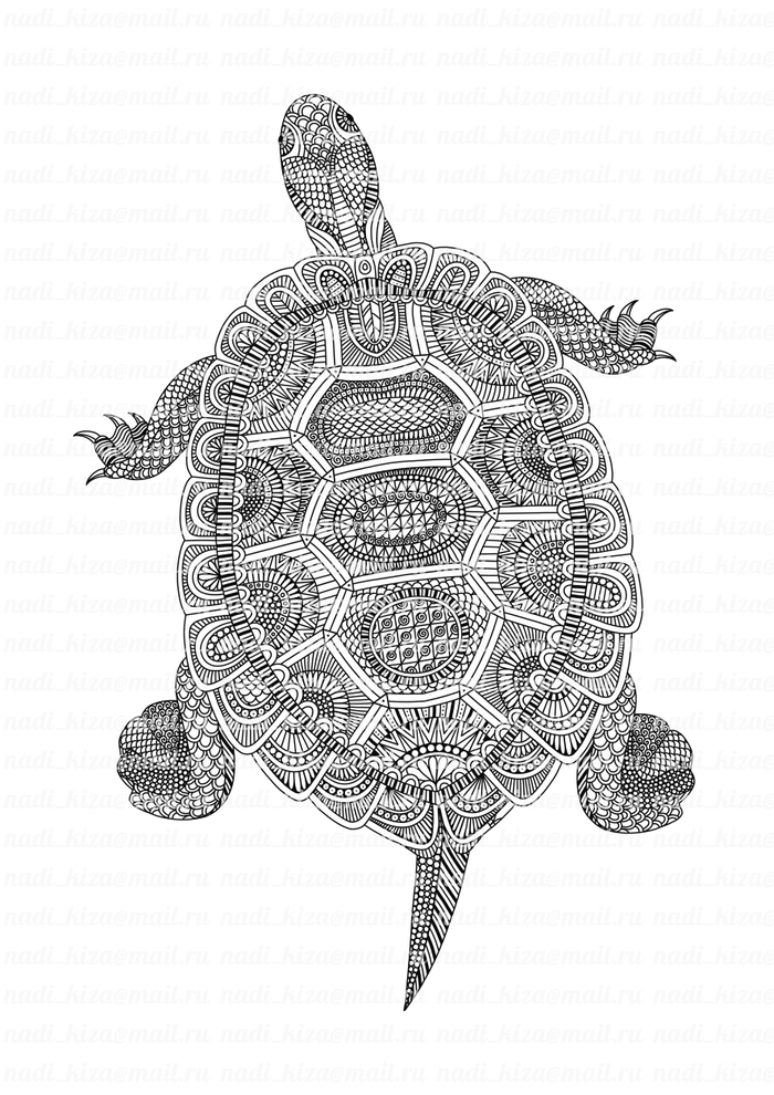 Doodleturtle 