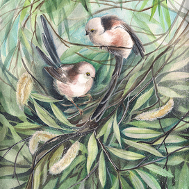 Ветер в ивах