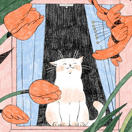 Кот на окне