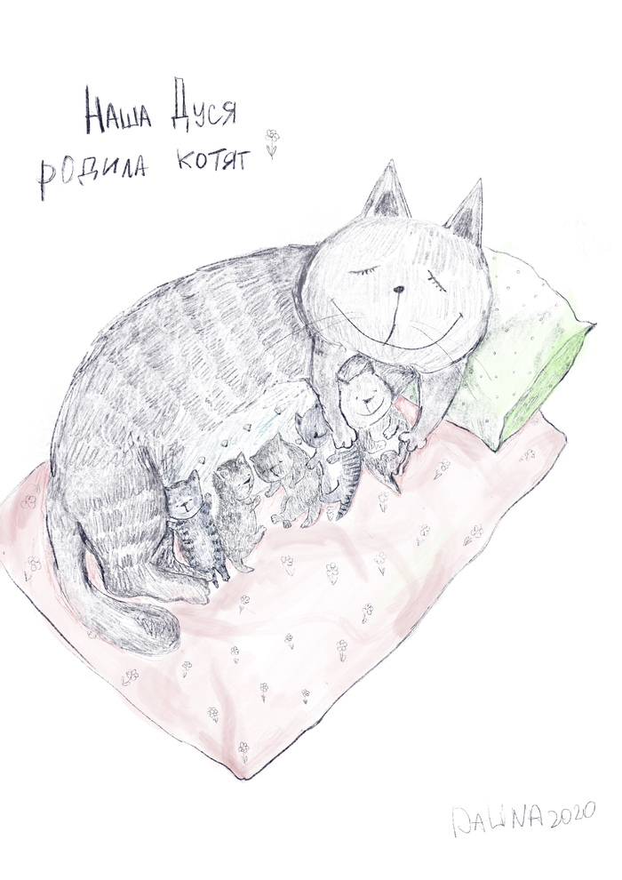 Наша Дуся родила котят