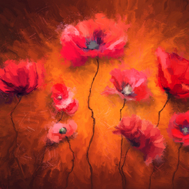 red poppies