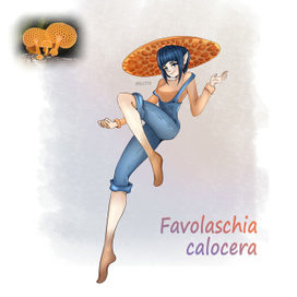 Хуманизация гриба "Favolaschia calocera"