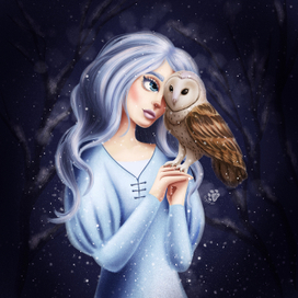 Волшебница зимней ночи