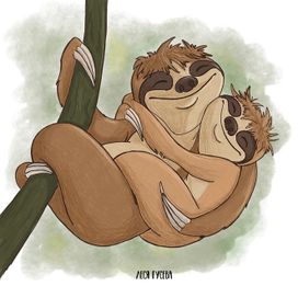 Взъерошенные ленивцы