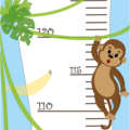 ростомер обезьянки
