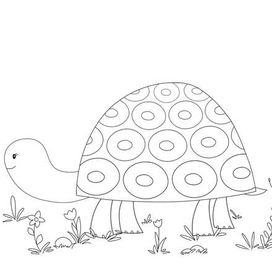 Раскраска детская "Черепашка"