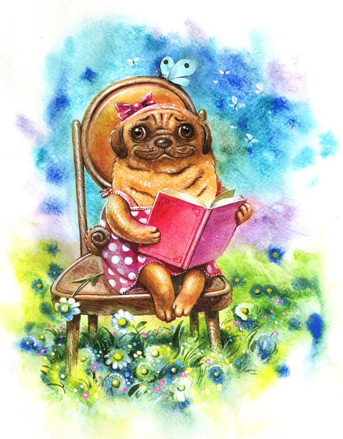 Дуськины рассказы (обложка)