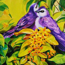 тропические птицы