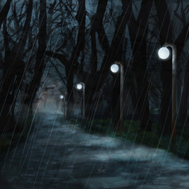 Ночной парк