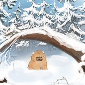 В зимнем лесу