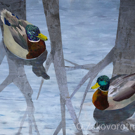 Утки в осеннем пруду