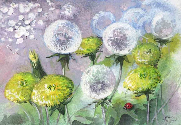 Одуванчики