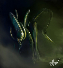 Ксеноморфушка)))