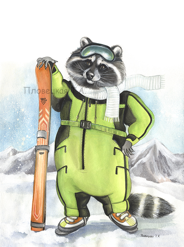 Енот - горнолыжник
