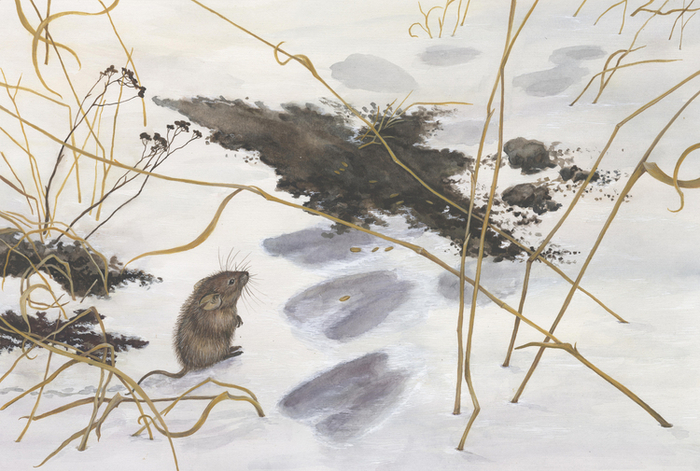 Мышонок Пик