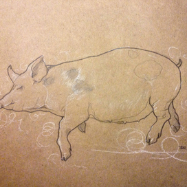 свинки forever &I ever