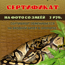 сертификаты для зоопарка