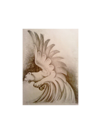 Барс с крыльями(эскиз-4) 