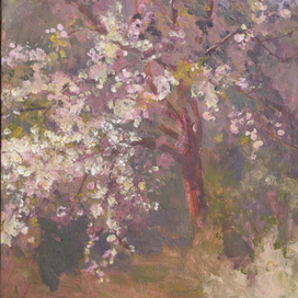 Яблоня в цветах