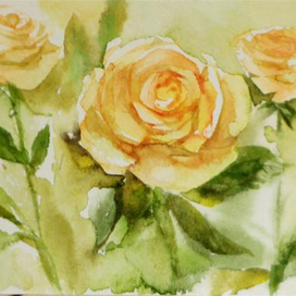 желтые розы. этюд