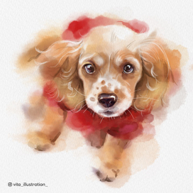 Маленький друг