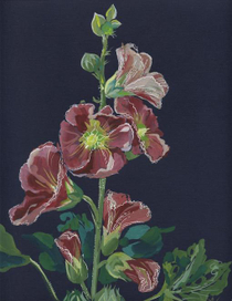 цветы "рожа"