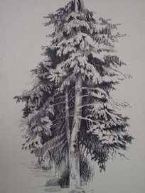 пленэрная зарисовка