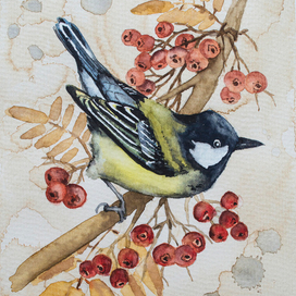 Синичка на рябиновой ветви